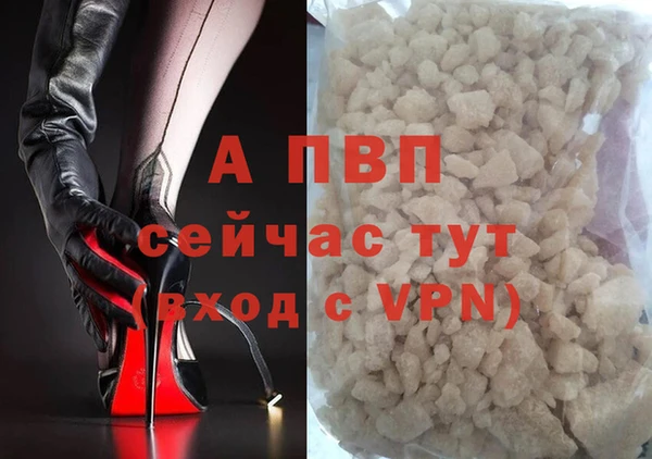 прущие крисы Надым