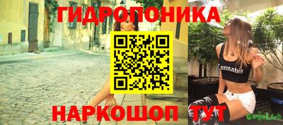 эйфоретик Берёзовский