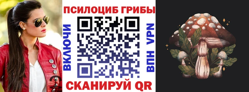 Псилоцибиновые грибы Psilocybe Прохладный