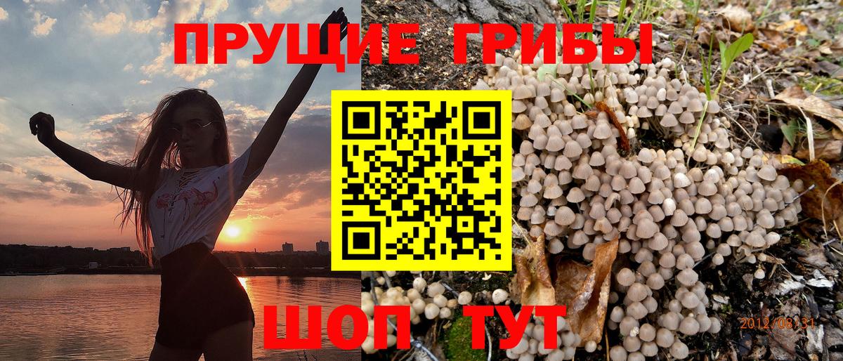Псилоцибиновые грибы Psilocybe  даркнет сайт  Прохладный  Вход с VPN  Галлюциногенные грибы прущие грибы 