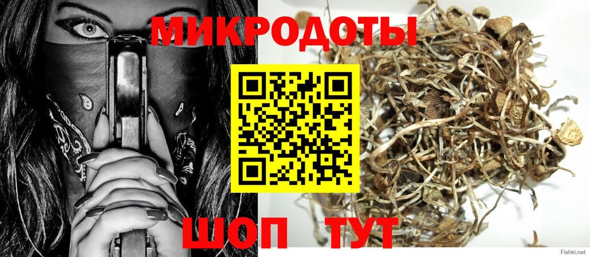 Псилоцибиновые грибы Cubensis Прохладный