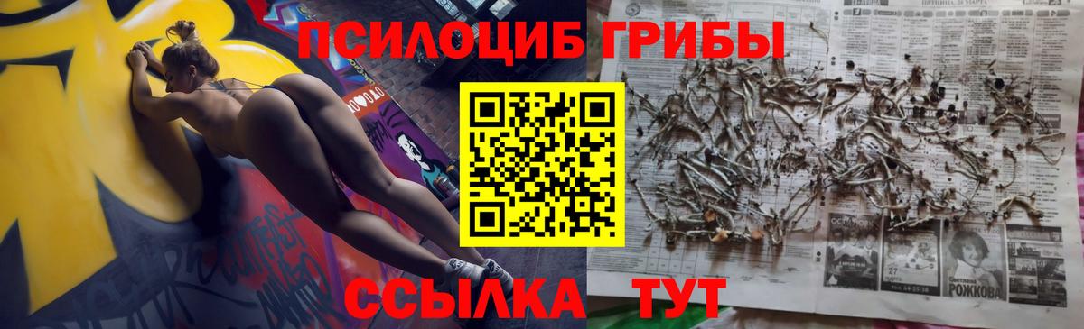 Псилоцибиновые грибы GOLDEN TEACHER Прохладный